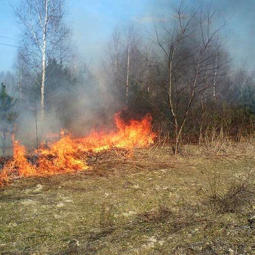 Pożar łąk na Jeziornie