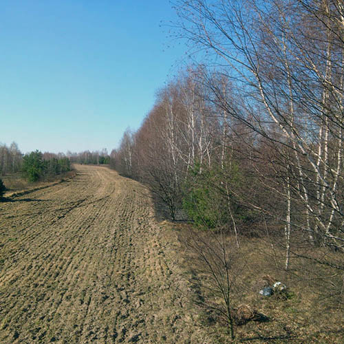 Zaorane pole zatrzymało ogień