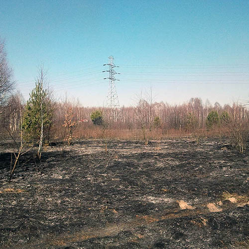 Spalony obszar po zakończeniu działań