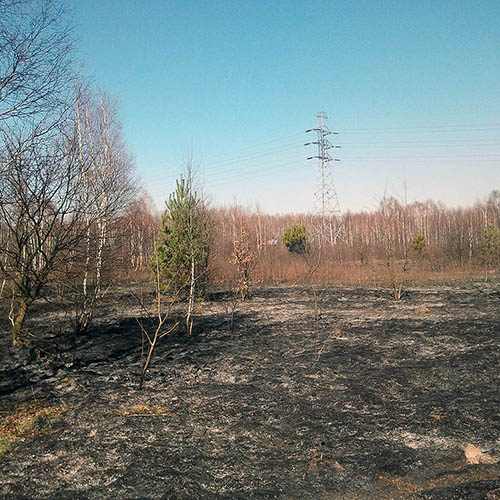 Spalony obszar po zakończeniu działań