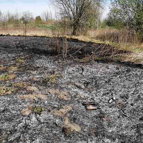 Wypalona trawa odsłonięta zaśmiecona łąka.