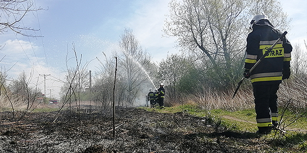 Pożar suchej trawy Mirków