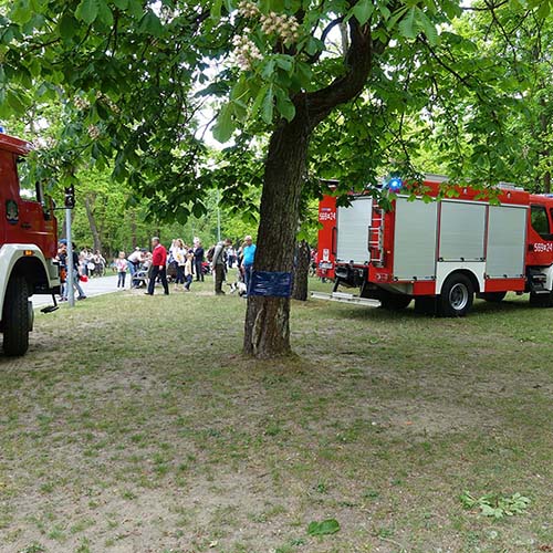 Wjazd naszych samochodów na teren parku w celach prezentacji sprzętu.