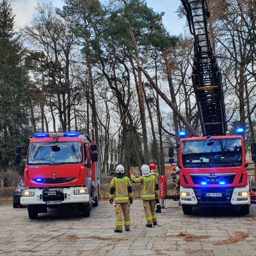 Przeciąganie drzewa przy pomocy wozu strażackiego OSP Konstancin-Jeziorna