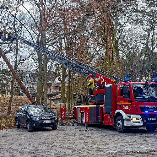 Oczyszczanie drzewa z wystających konarów przy wykorzystaniu drabiny z JRG Piaseczno.